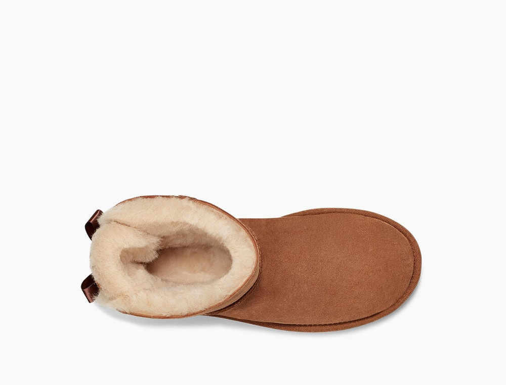 Mini Bailey Bow ll Bruin KL Mini Bailey Bow ll Bruin KL