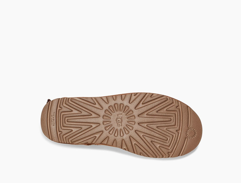 Mini Bailey Bow ll Bruin KL Mini Bailey Bow ll Bruin KL