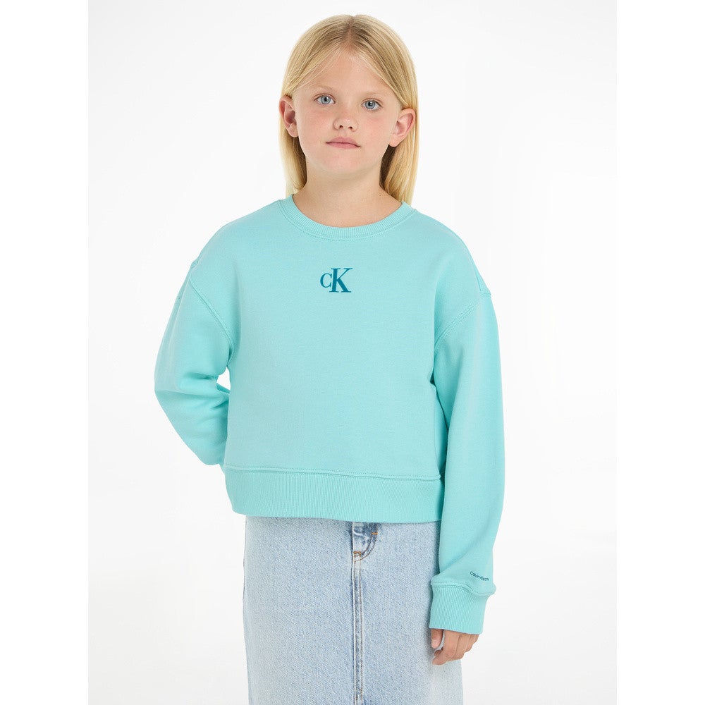 CK LOGO CN SWEATER Multi KL CK LOGO CN SWEATER Multi KL