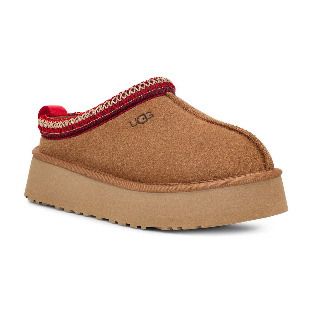 W Tazz Bruin 1 W Tazz Bruin 1