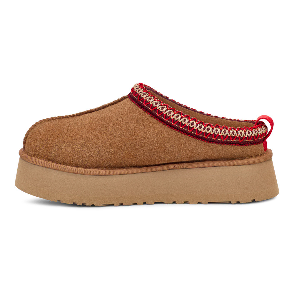 W Tazz Bruin 1 W Tazz Bruin 1