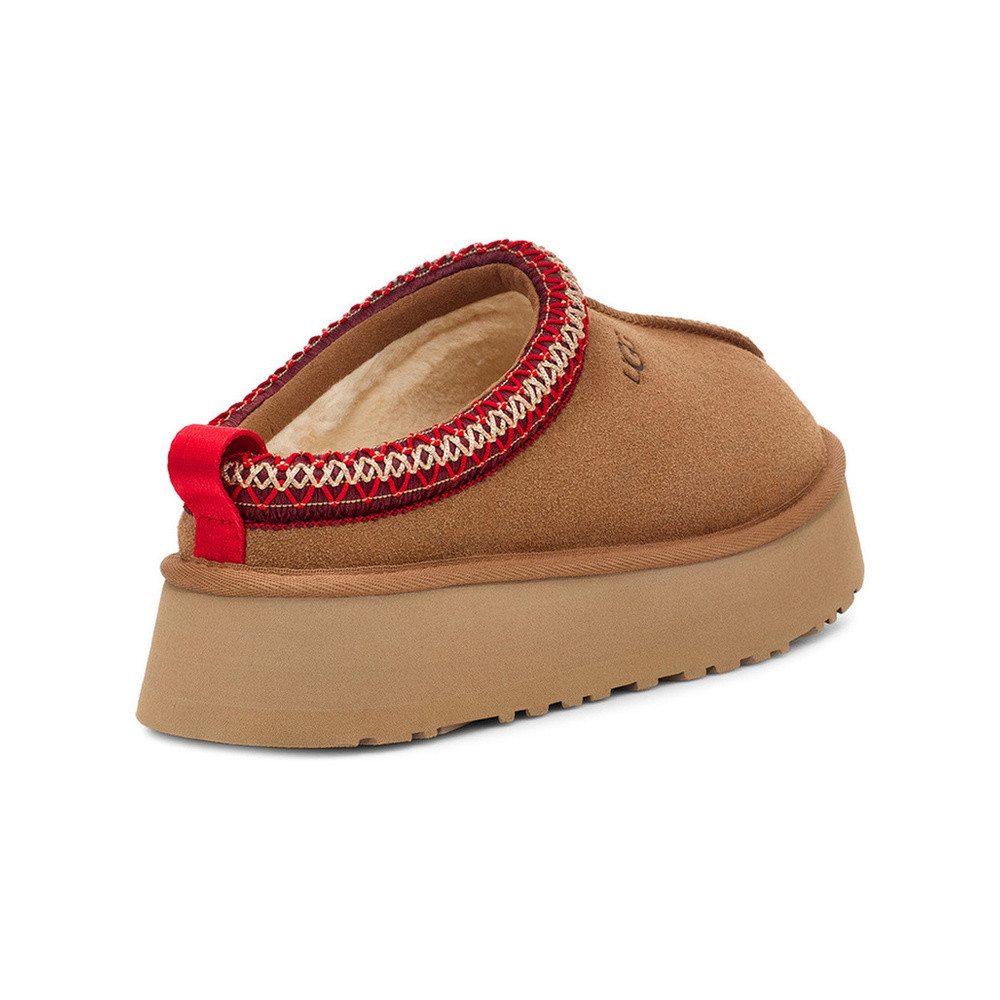 W Tazz Bruin 1 W Tazz Bruin 1