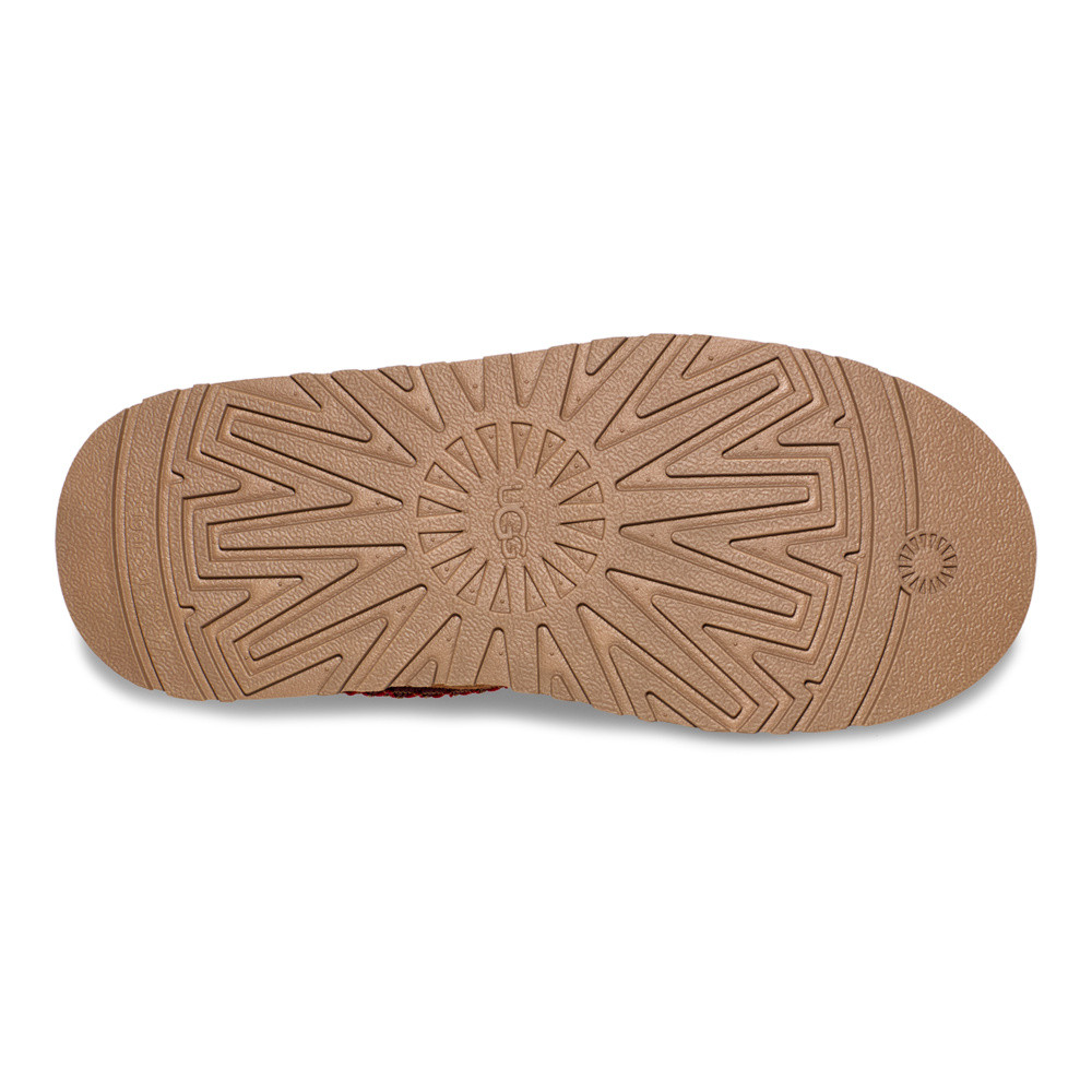 W Tazz Bruin 1 W Tazz Bruin 1