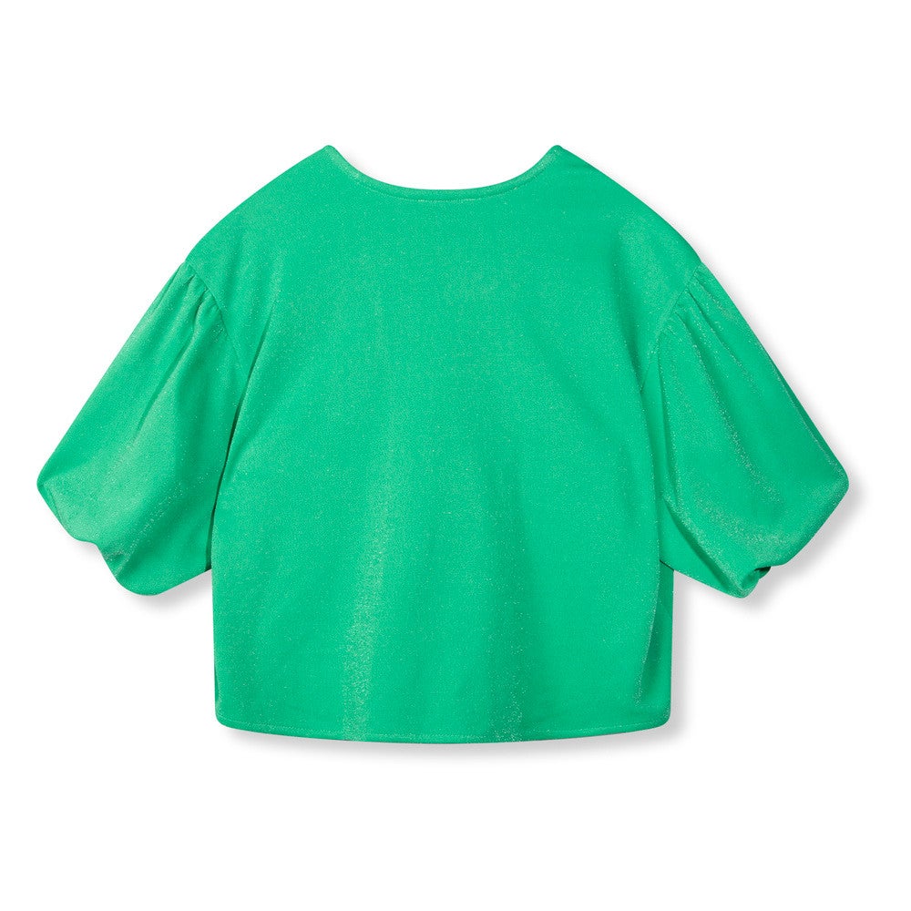 Fien ladiesnknitted blouse Groen Fien ladiesnknitted blouse Groen