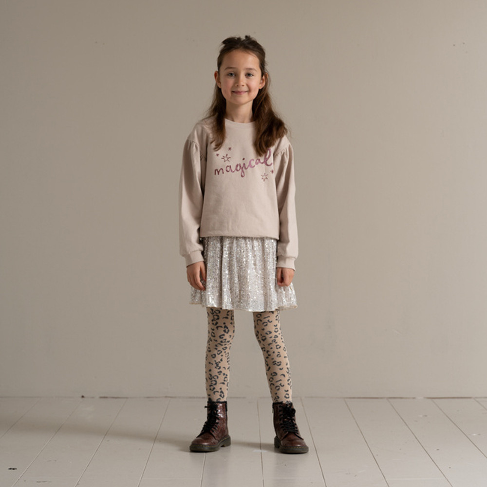 Sequins Skirt Zilver Sequins Skirt Zilver