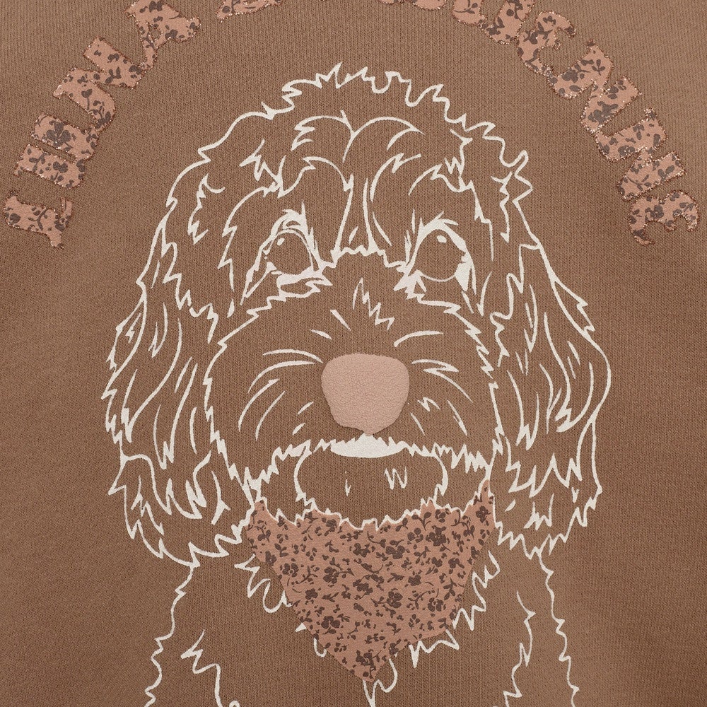 Sweatshirt Cashew Bruin 1 Sweatshirt Cashew Bruin 1