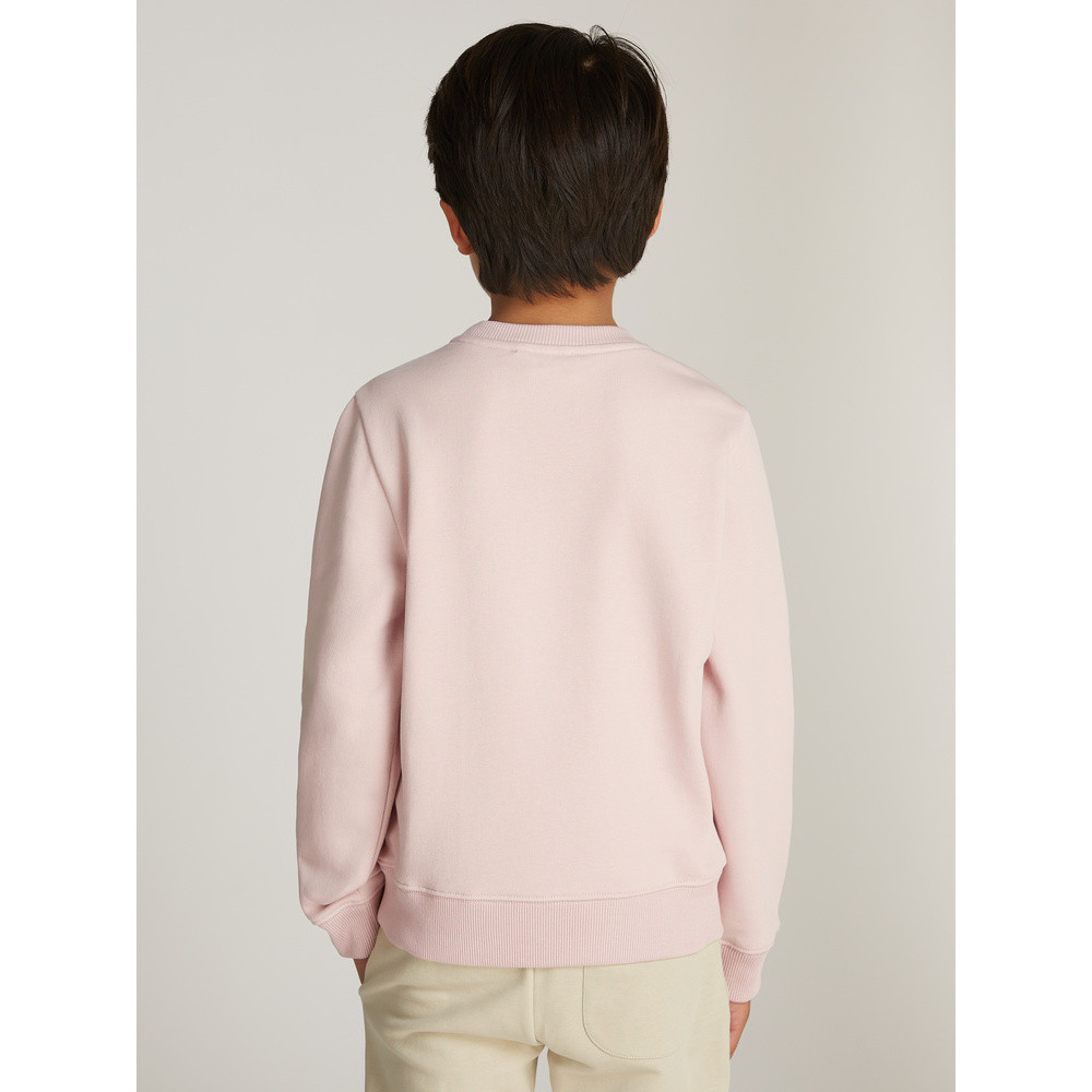 MONO MINI BADGE REG CN Roze MONO MINI BADGE REG CN Roze