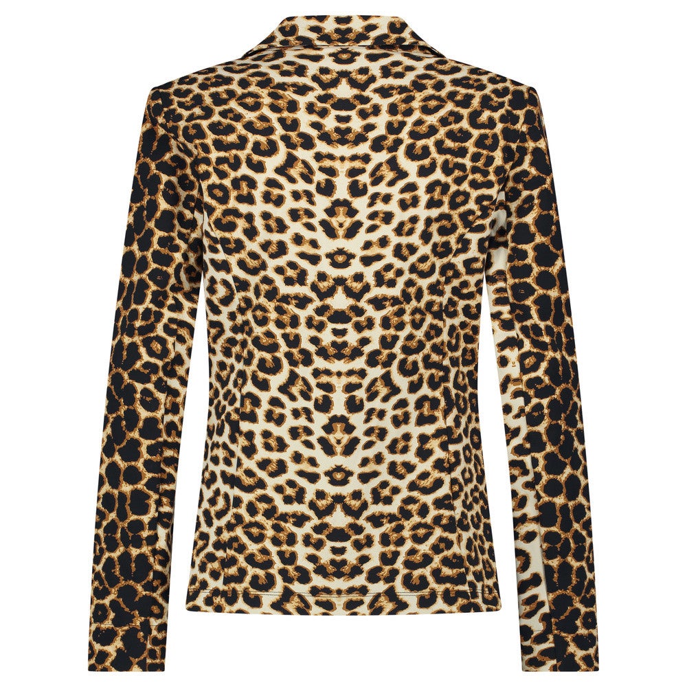 Billy Blazer Bruin 1 Billy Blazer Bruin 1