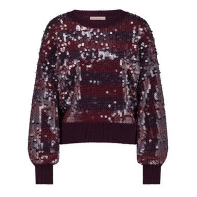 Lilly sequins pullover Paars Lilly sequins pullover Paars