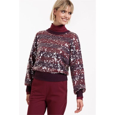 Lilly sequins pullover Paars Lilly sequins pullover Paars