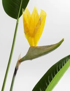 Deco Plant Paradise Flowers 190CM Groen KL Deco Plant Paradise Flowers 190CM Groen KL