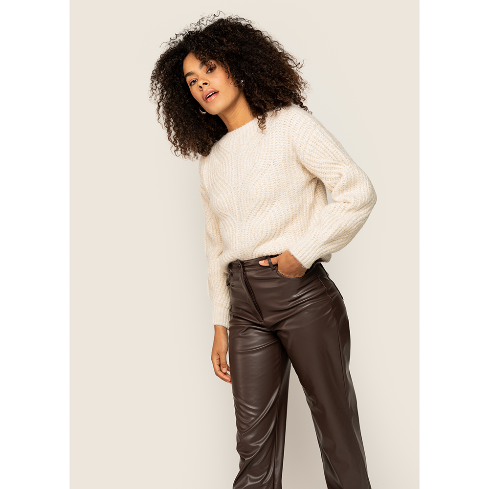 Trouser Bruin 1 Trouser Bruin 1