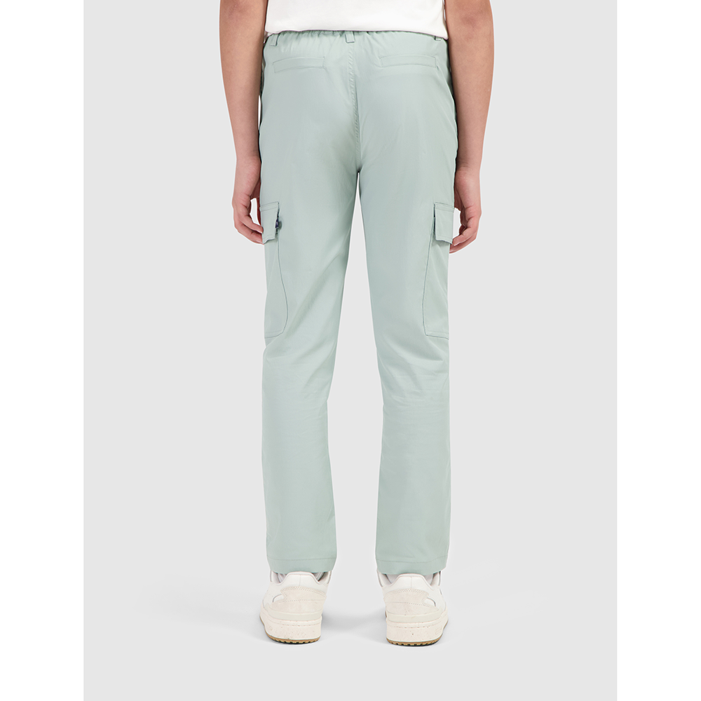Regular fit Cargo Pants Woven Groen Regular fit Cargo Pants Woven Groen