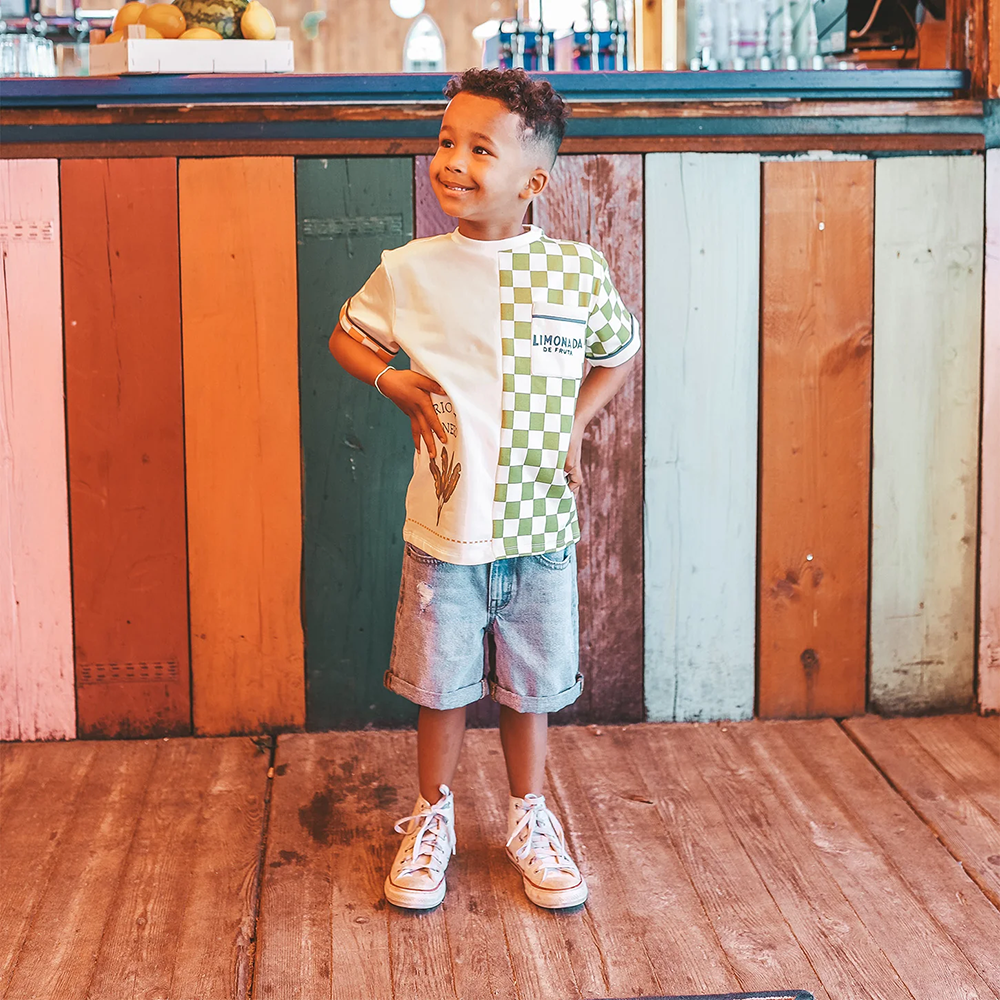 Denim Regular Shorts Cotton Blauw Denim Regular Shorts Cotton Blauw