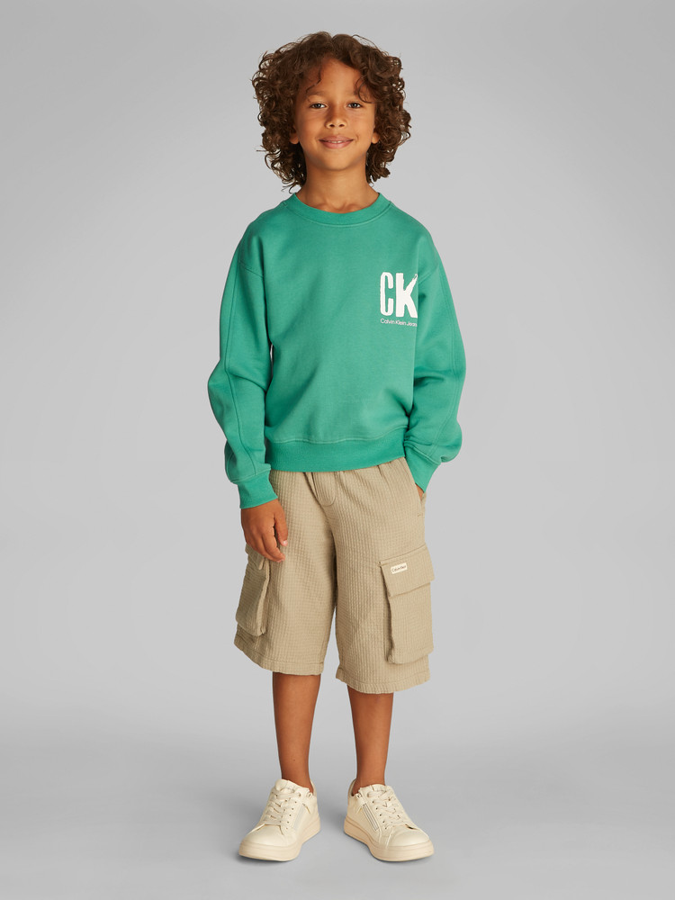 SUMMER GRAPHICS SWEATER Groen SUMMER GRAPHICS SWEATER Groen