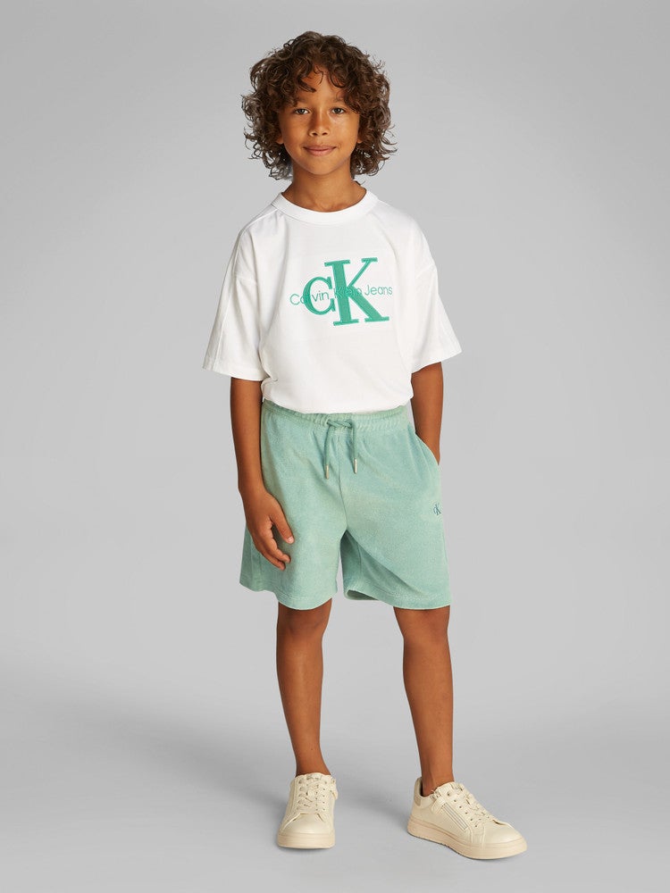 TOWELLING TEXTURE SHORT Groen TOWELLING TEXTURE SHORT Groen