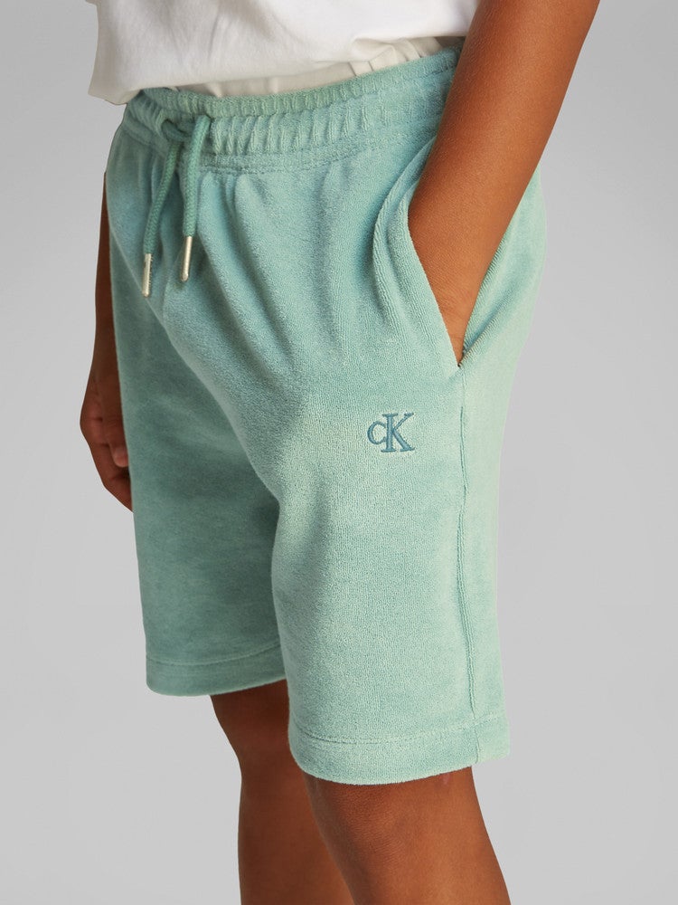 TOWELLING TEXTURE SHORT Groen TOWELLING TEXTURE SHORT Groen