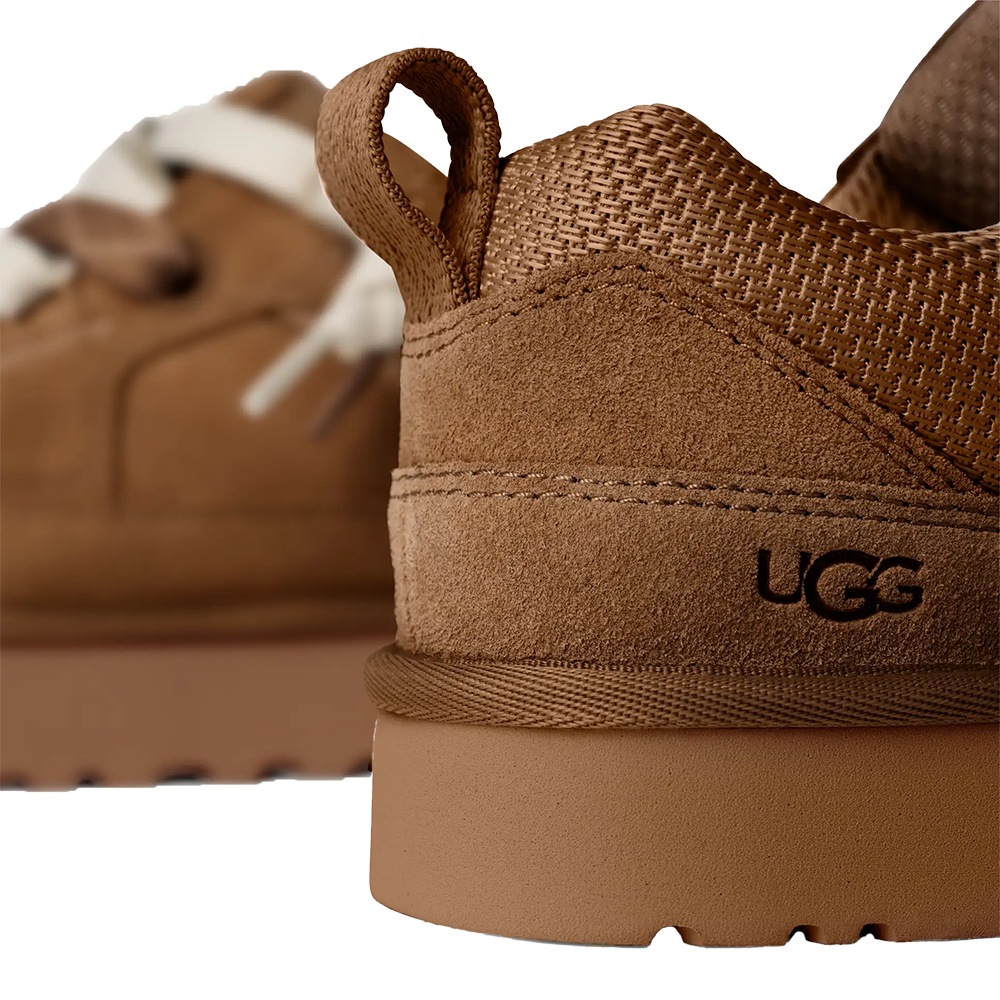 W Lo Lowmel Bruin 1 W Lo Lowmel Bruin 1