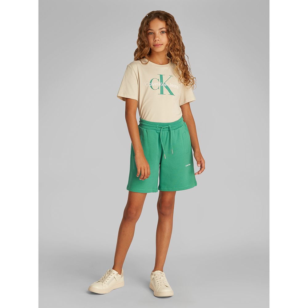 NEW INST. LOGO SHORTS Groen NEW INST. LOGO SHORTS Groen