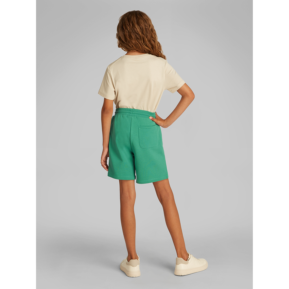 NEW INST. LOGO SHORTS Groen NEW INST. LOGO SHORTS Groen