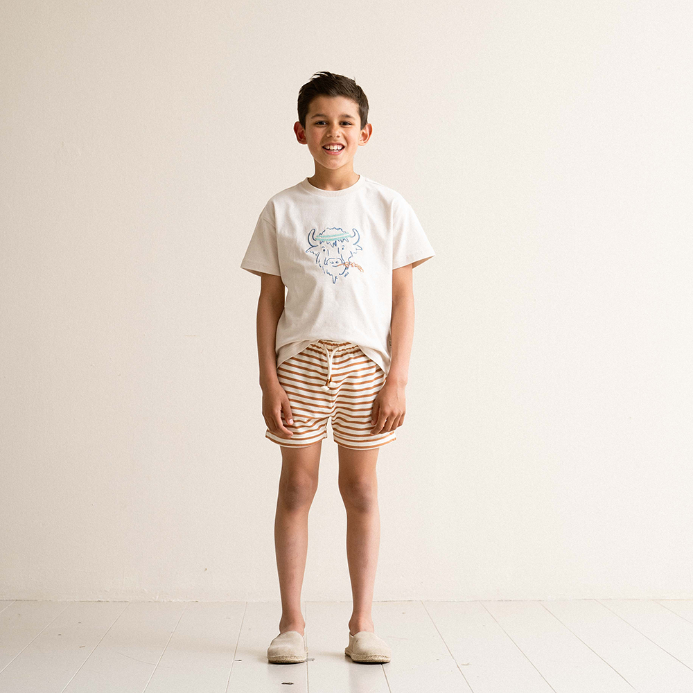 Bermuda Small Stripes Bruin 1 Bermuda Small Stripes Bruin 1