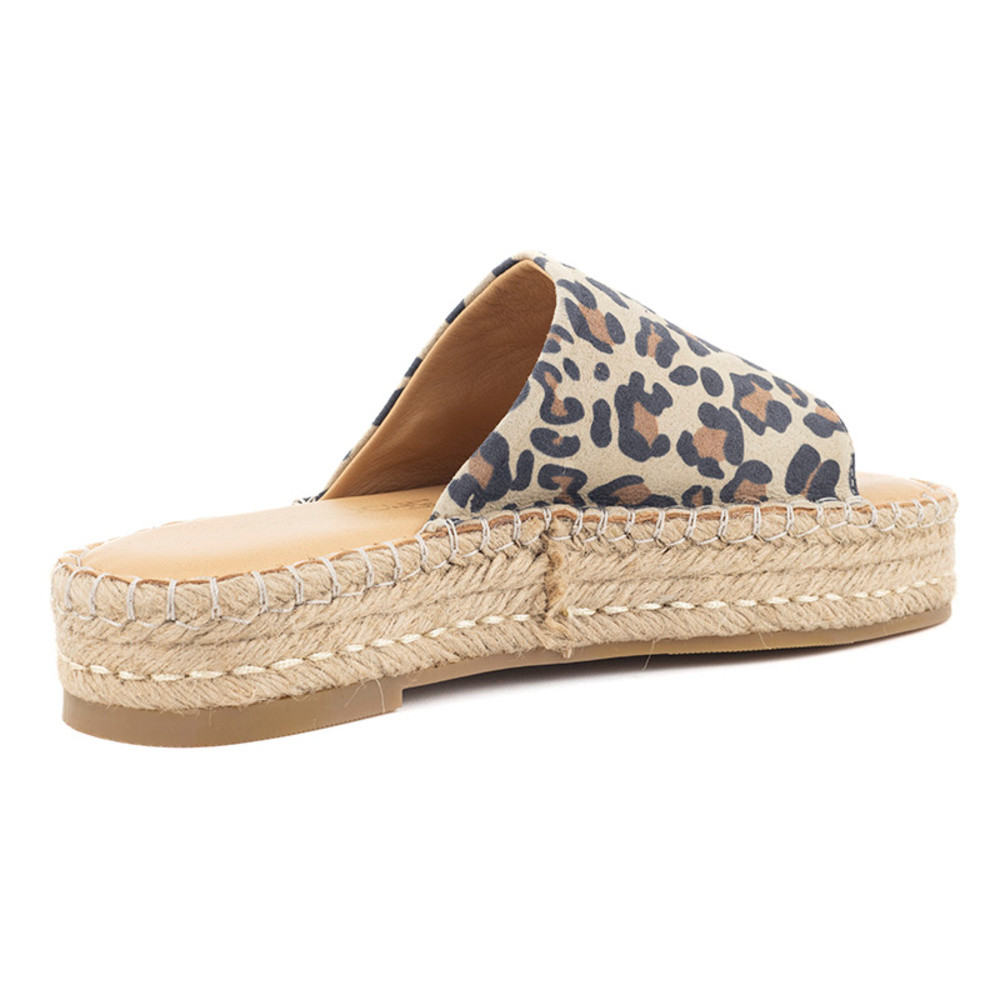 Tiffy-2 Bruin 1 Tiffy-2 Bruin 1