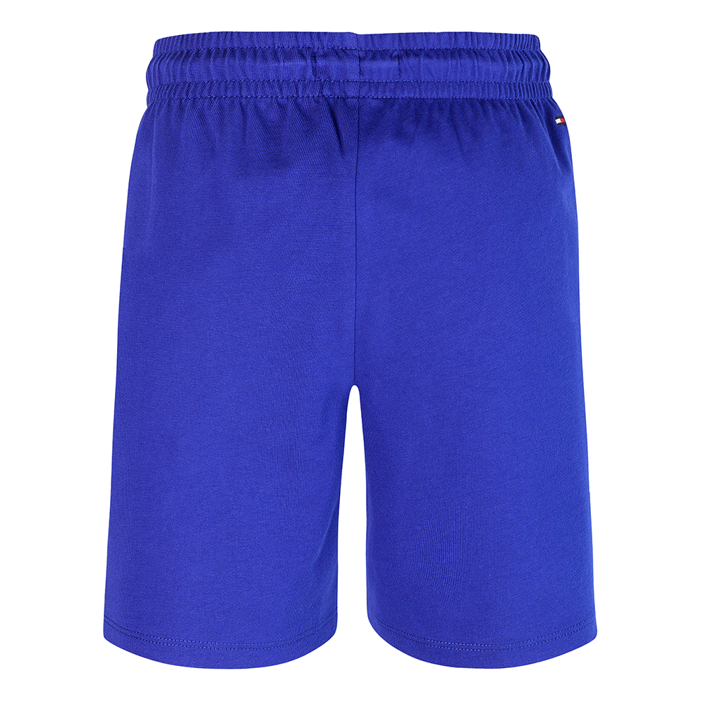 TH GRAPHIC SWEATSHORT KOBALT Blauw TH GRAPHIC SWEATSHORT KOBALT Blauw