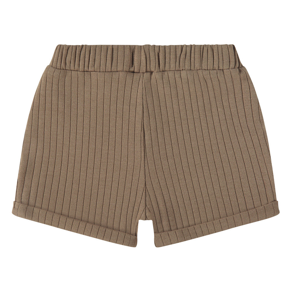 baby short Tiny rib Bruin 1 baby short Tiny rib Bruin 1