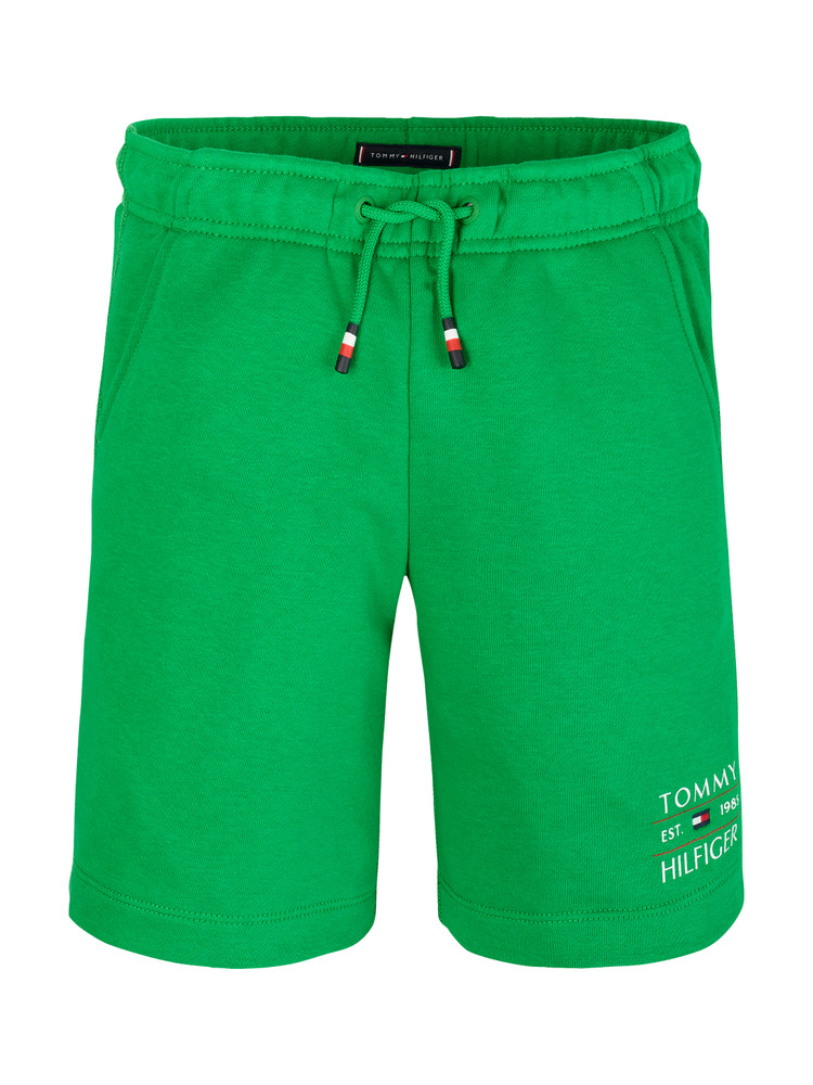TOMMY FLAG HILFIGER SHORT Groen TOMMY FLAG HILFIGER SHORT Groen