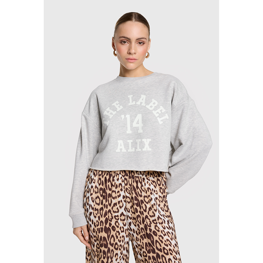 Ladies Knitted Soft Sweater Grijs Ladies Knitted Soft Sweater Grijs