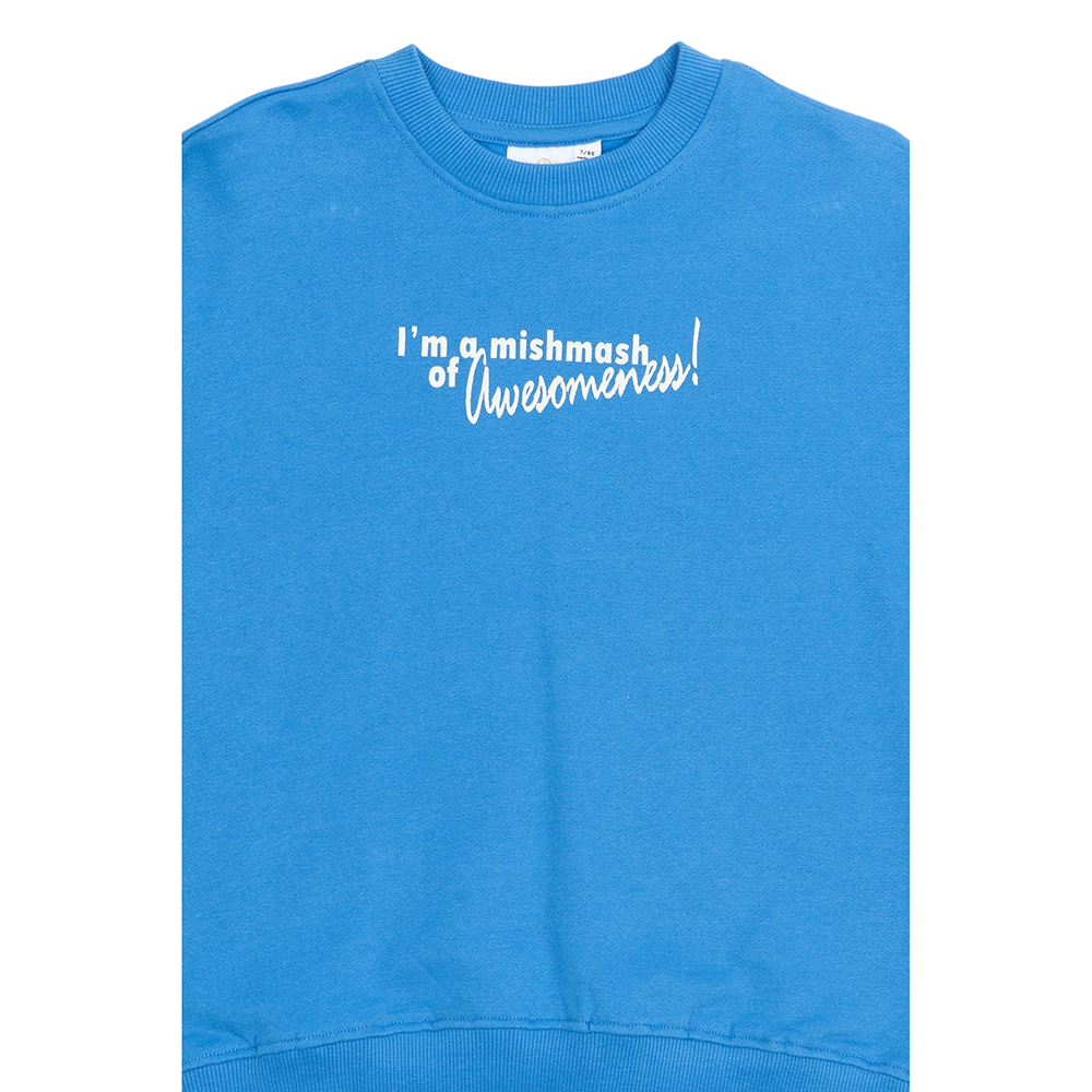 Pelle Sweatshirt Backprint Blauw Pelle Sweatshirt Backprint Blauw