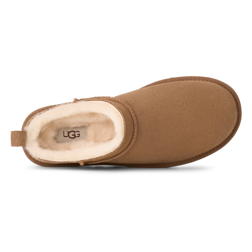 W Classic Micro Bruin 1 W Classic Micro Bruin 1