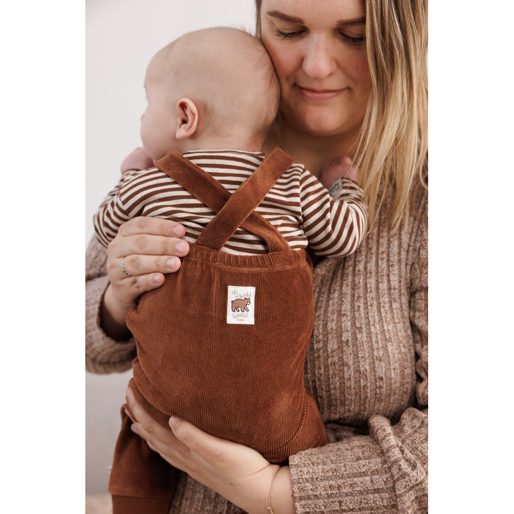 Longsleeve streep - Wild World Bruin 1 Longsleeve streep - Wild World Bruin 1