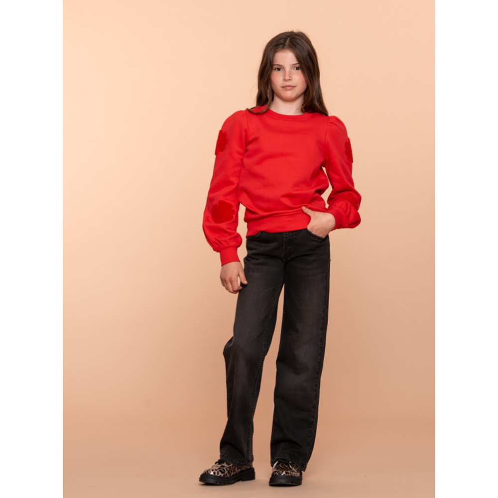 Sweater flowers at sleeve Rood Sweater flowers at sleeve Rood