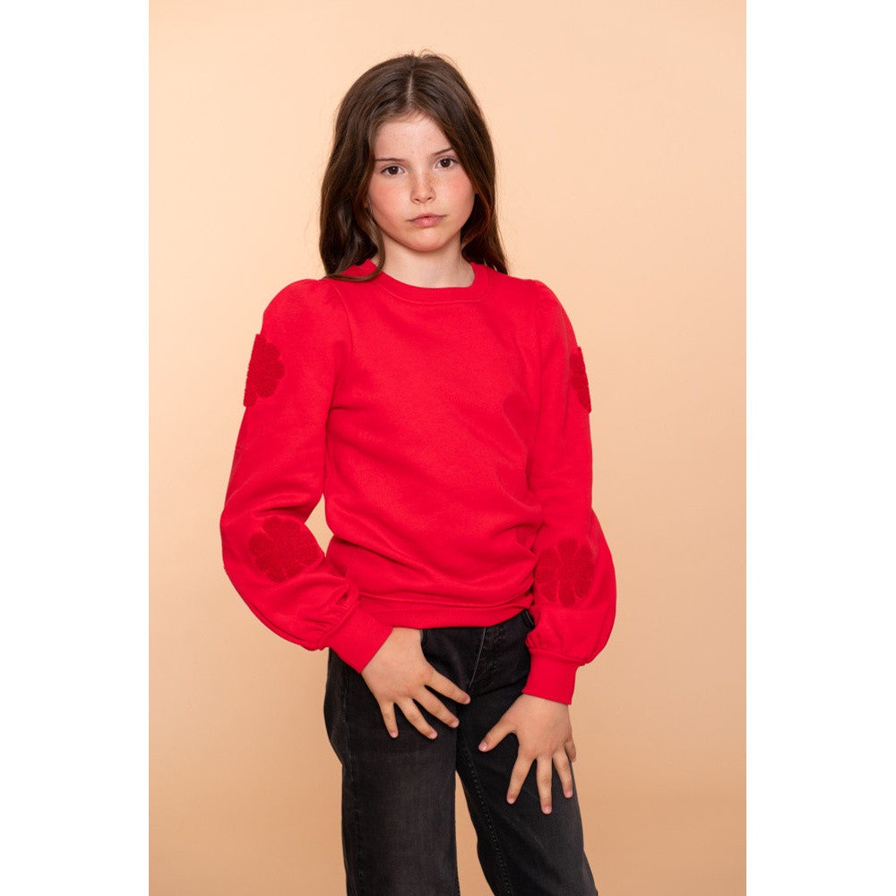 Sweater flowers at sleeve Rood Sweater flowers at sleeve Rood