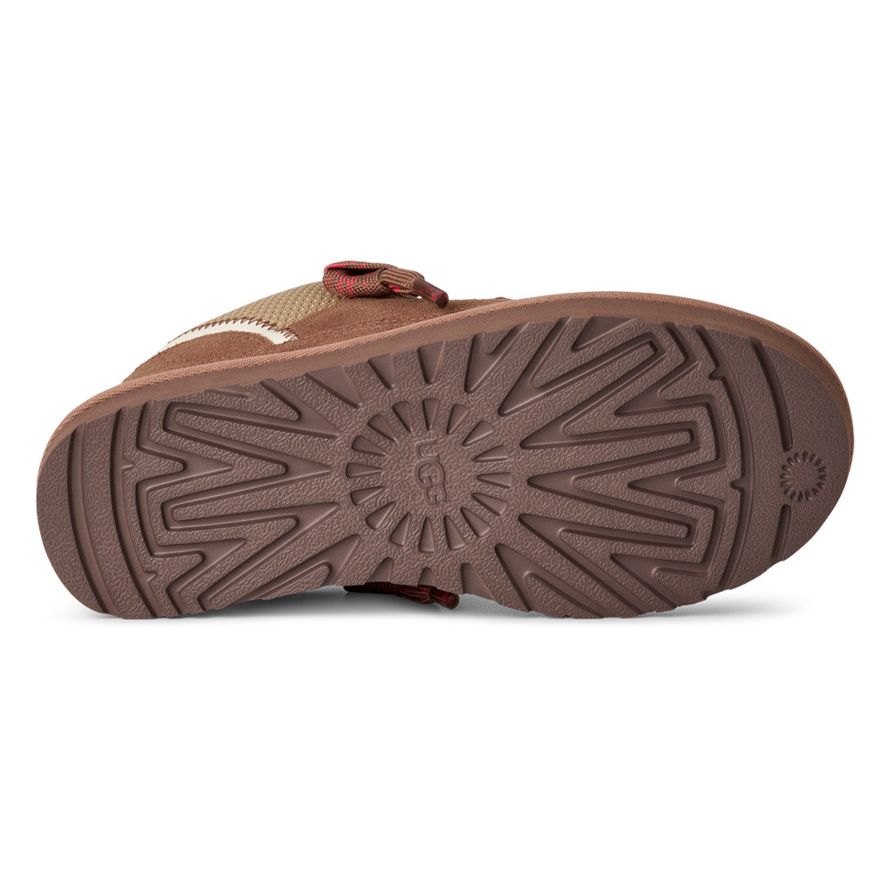 W Lowmel Bruin 2 W Lowmel Bruin 2