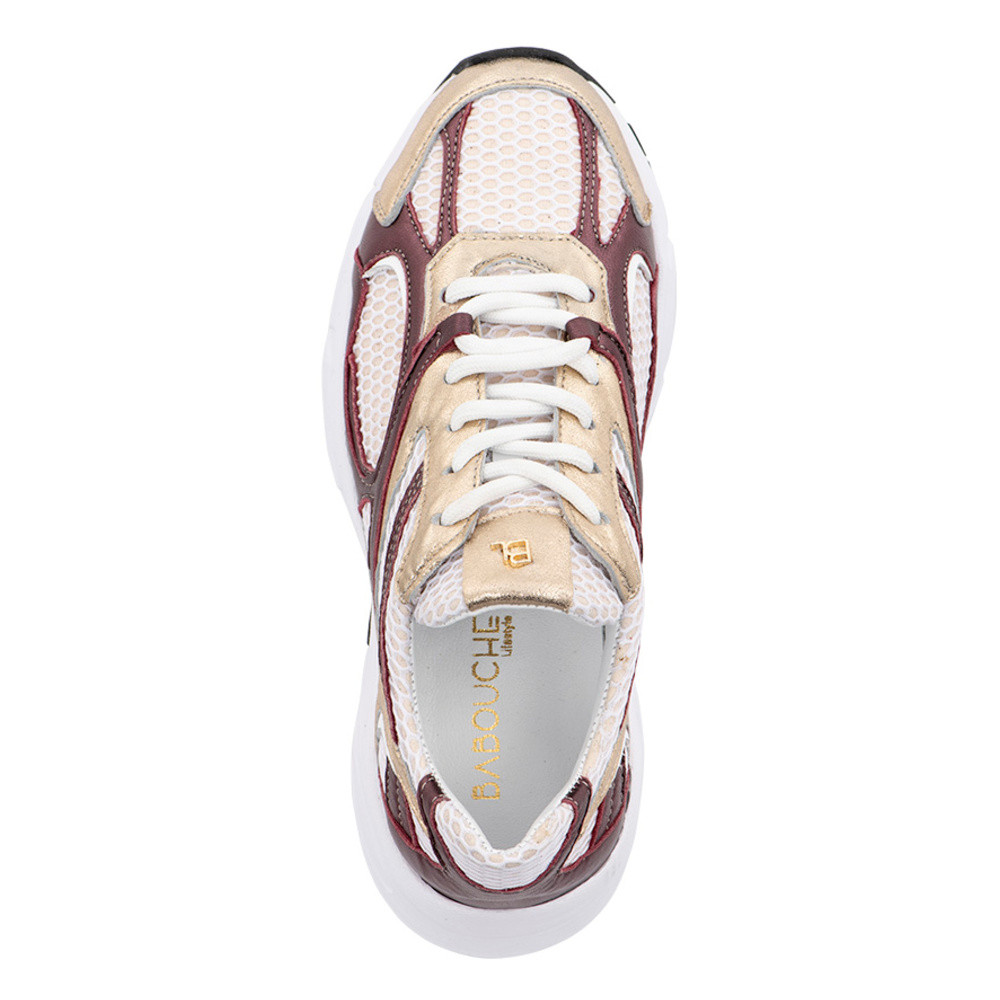 Novy Gold/Bordo Bordeaux Novy Gold/Bordo Bordeaux