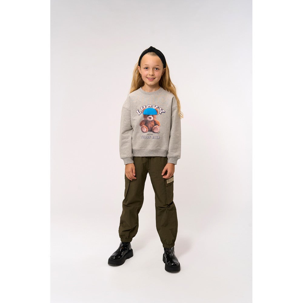 Pendra Sweatshirt Teddy Grijs Pendra Sweatshirt Teddy Grijs