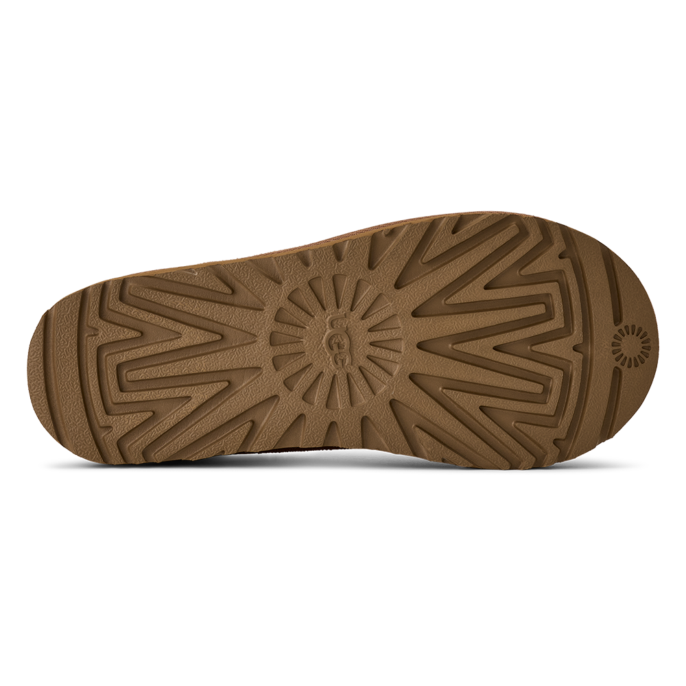 W Tasman II Bruin 1 W Tasman II Bruin 1