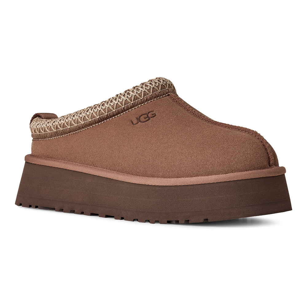 W Tazz II Bruin 2 W Tazz II Bruin 2