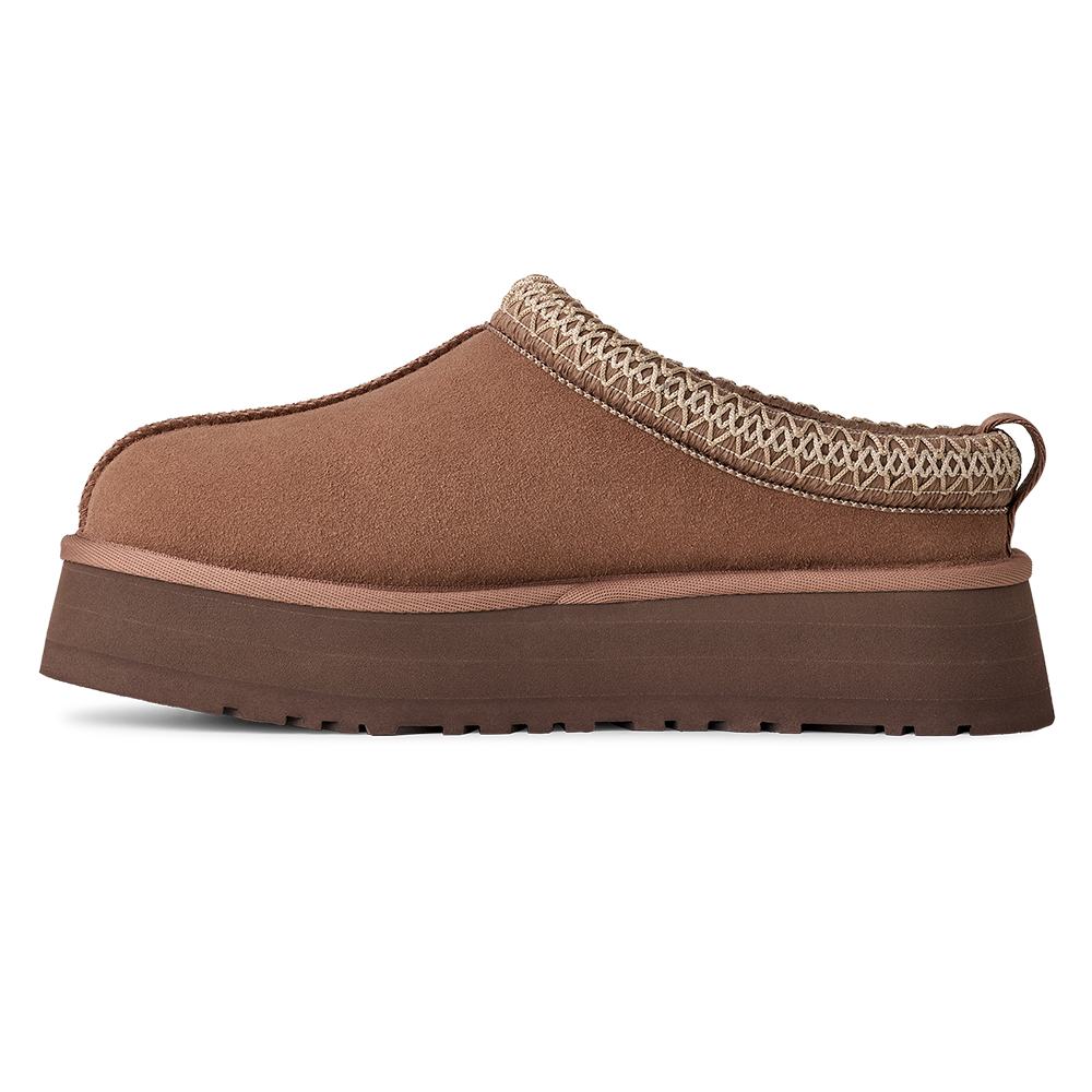 W Tazz II Bruin 2 W Tazz II Bruin 2