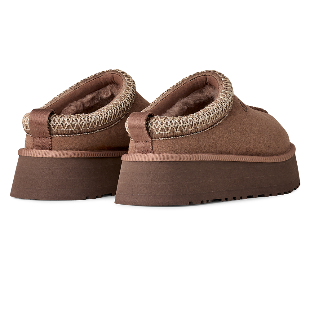 W Tazz II Bruin 2 W Tazz II Bruin 2