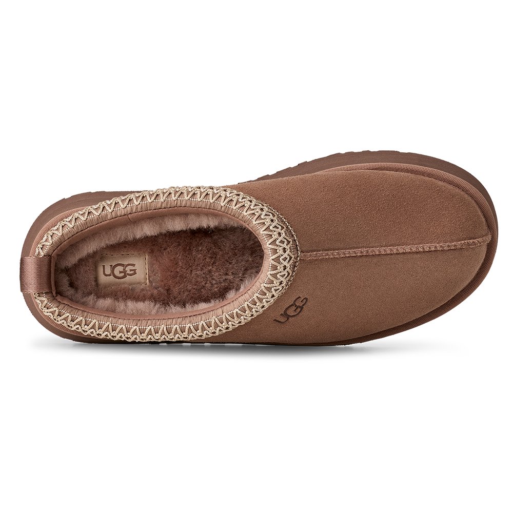 W Tazz II Bruin 2 W Tazz II Bruin 2