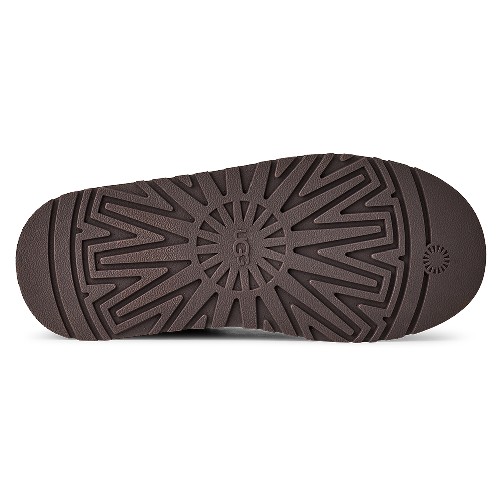 W Tazz II Bruin 2 W Tazz II Bruin 2