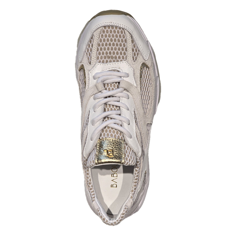 Novy White/Gold Wit 1 Novy White/Gold Wit 1