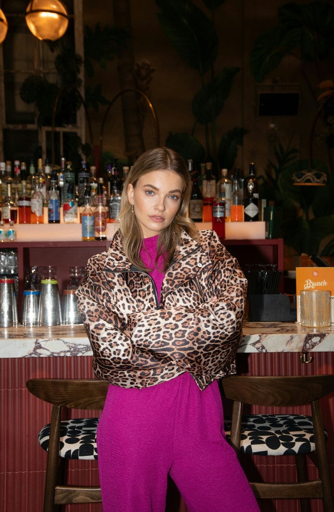 Feline Jacket Bruin 1 Feline Jacket Bruin 1