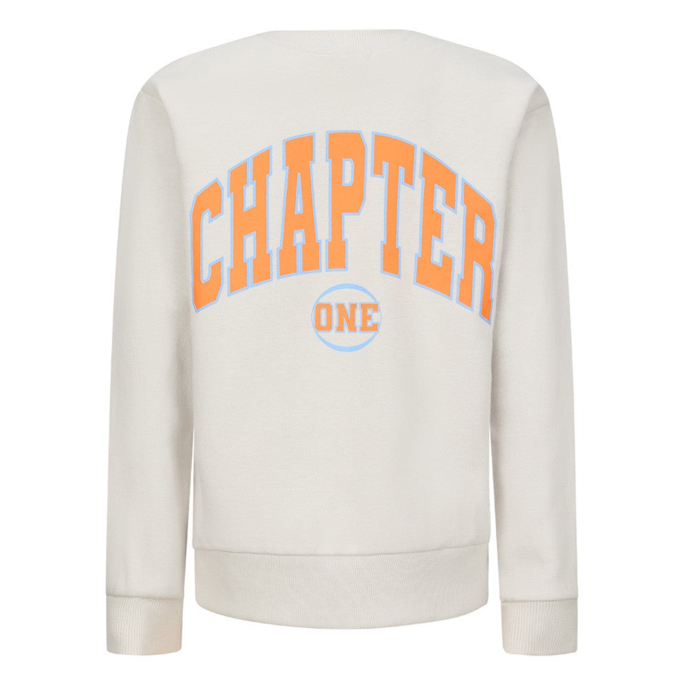 Joshua Crewneck Sweater Backprint Grijs Joshua Crewneck Sweater Backprint Grijs