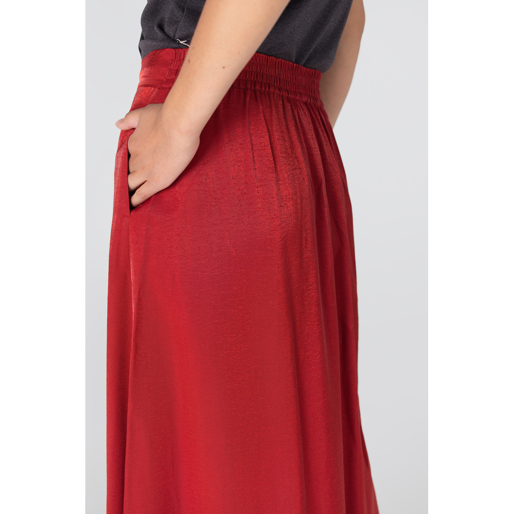 DAHLIA ROK WS 694 long Rood DAHLIA ROK WS 694 long Rood