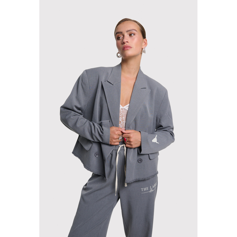 Ladies Woven Double Breasted Blazer Grijs Ladies Woven Double Breasted Blazer Grijs