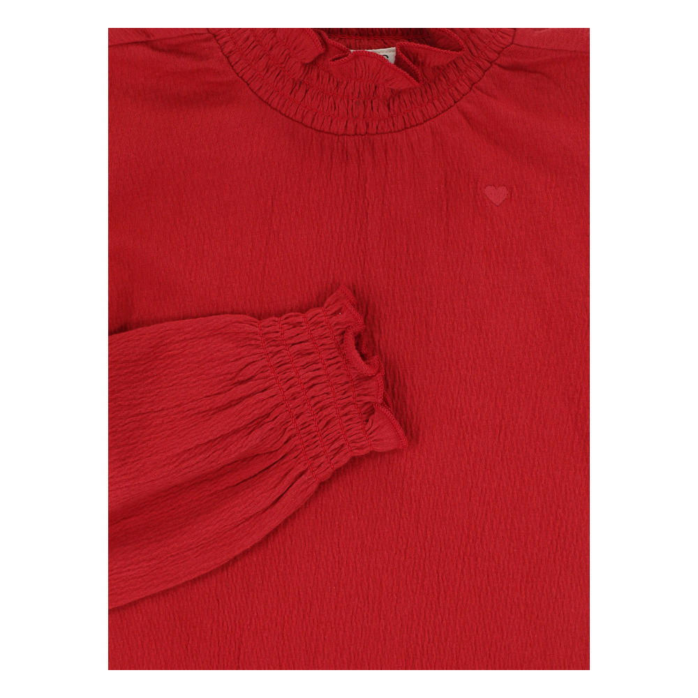Little longsleeve t-shirt turtle Rood Little longsleeve t-shirt turtle Rood
